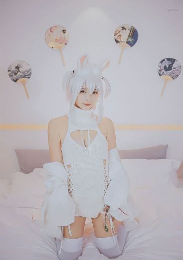 精灵幻想记 第二季 动漫