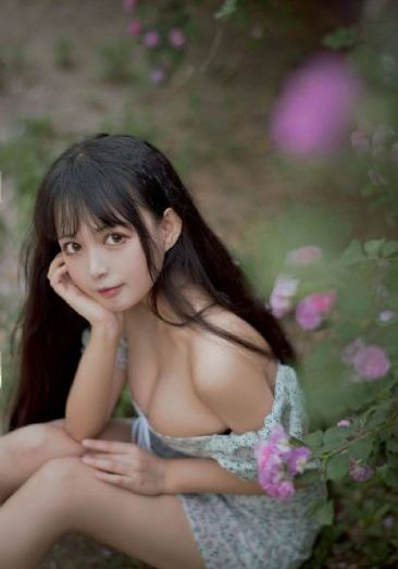狮子王辛巴电影在线观看免费