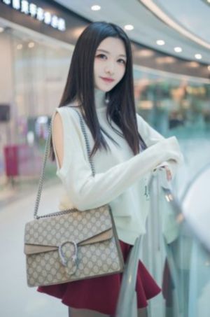 大明风华 电视剧