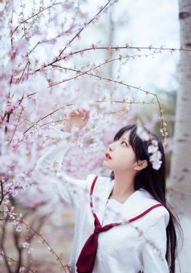 男同黄色